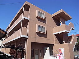 ＳＵＲＦ．ＮＯＶＯ 305