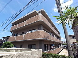 ラフィーネ壱番館 305