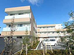 ゼルコバ　サウス 205