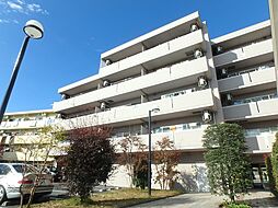 ＶｅｒｄｕｒｅＨｏｙａ 505