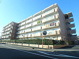 ボン・フォルテューヌ 207