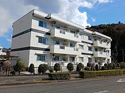 サンリーフ湘南 303