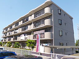 アークステラ 303