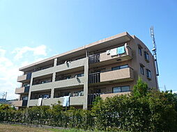 スィプレ・Ｍ 101