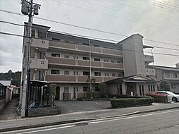 アピアランス優貴 402