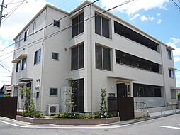 Ｗｉｓｔａｒｉａ　Ｃｏｍｏｄｏ 203