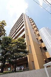 プレース水門 804