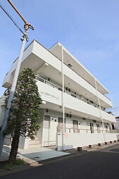 フラット　エヴァーグリーンI 203