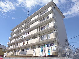 グリーティングコーポ 104