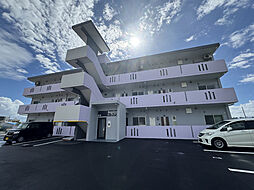 Ｍａｉｓｏｎ ｄｅＬａｃｕｅ 204