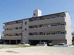 パステルサンライズ 206