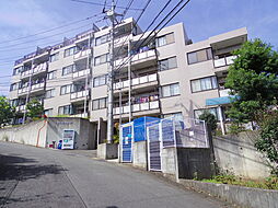 第5ヒルトップ梶ヶ谷 305