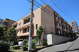ＣｏｌｌｉｎａＣａｓａ 405