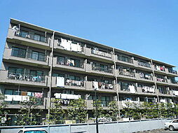 パインハイツ小平 301