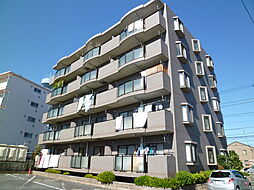 プリマベーラ国立 203