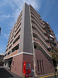 コーラル　ブルー 304