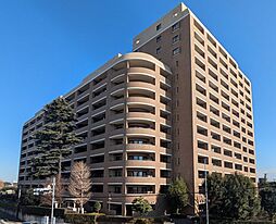 ソフィア柏公園１号棟 206