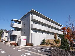 アヴァンセ市が洞 101