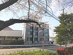 ＣＯＺＹ茶屋ヶ坂 504