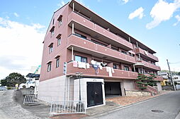 フローリッシュI 303