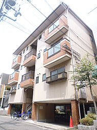 ドリーミーニシキ