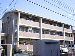 Ｎ1．ＳＨＩＭＡＧＡＳＨＩＲＡ 107