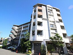 エバーグリーン 603