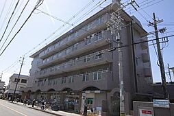 シャルムフジ 503