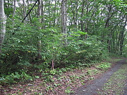 野尻高原大学村、土地763平米