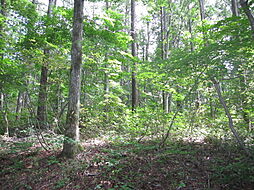 野尻高原大学村、土地995平米