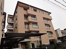 セヴェルイマヅ 306