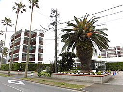 逗子市小坪５丁目