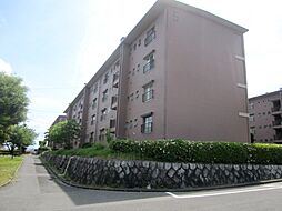 鍋屋上野住宅8号棟 204