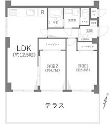 セザール第二綱島