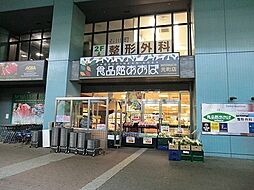 リリファ横濱山下町（画・元街小・港中）