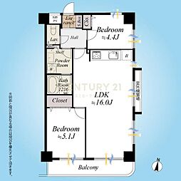 ドムール江古田