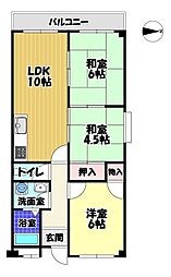 ドミール仲谷1号館