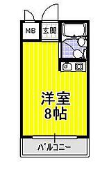 アドバンス錦織