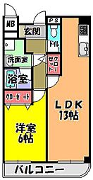 エレガンシア金剛