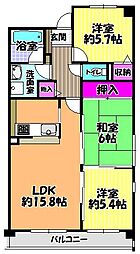 メゾン錦