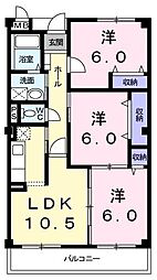 オリージャフロール 205