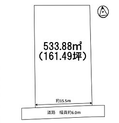 条件無