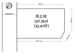 条件無
