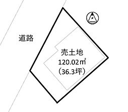 条件無