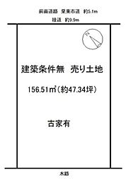 条件無