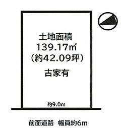 条件無