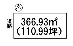 条件無