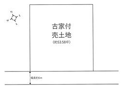 条件無