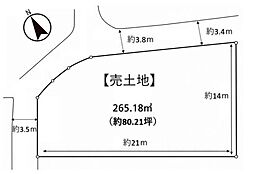 条件無