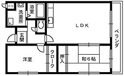 グレース羽衣